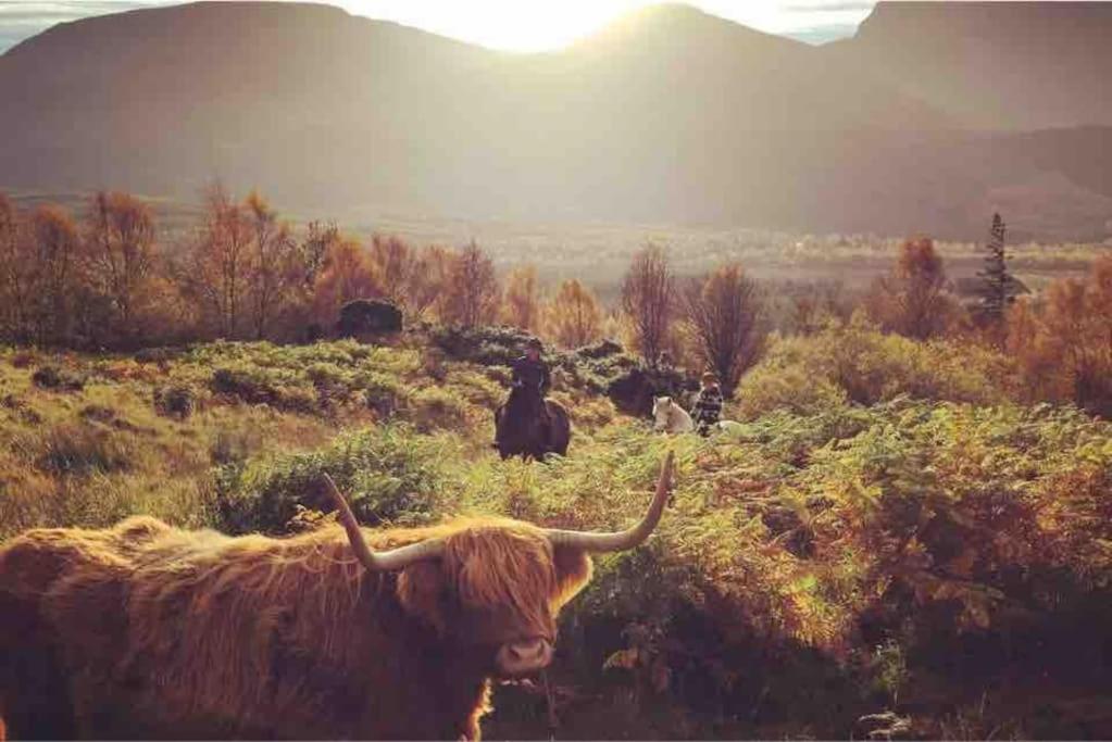 Wild Nurture Eco Luxury Offgrid Log Cabin Fort William Kültér fotó