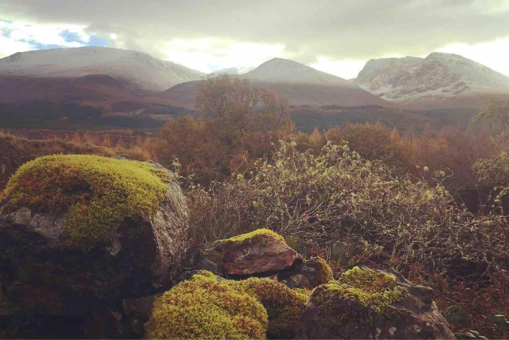 Wild Nurture Eco Luxury Offgrid Log Cabin Fort William Kültér fotó