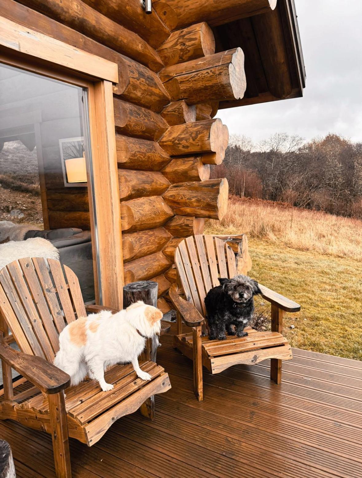 Wild Nurture Eco Luxury Offgrid Log Cabin Fort William Kültér fotó